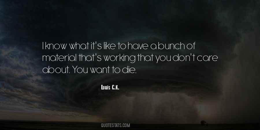 I Want You To Care Quotes #1269256
