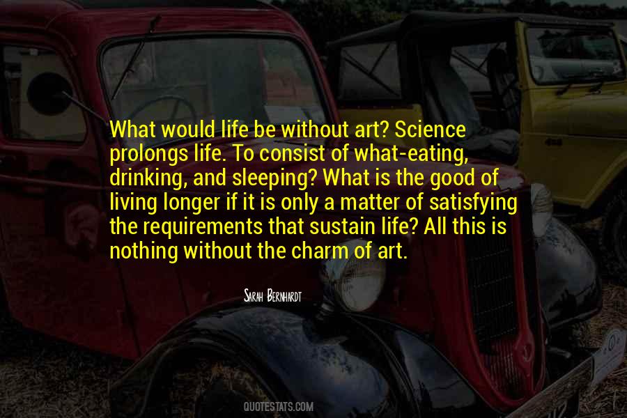 What Is A Good Life Quotes #875287