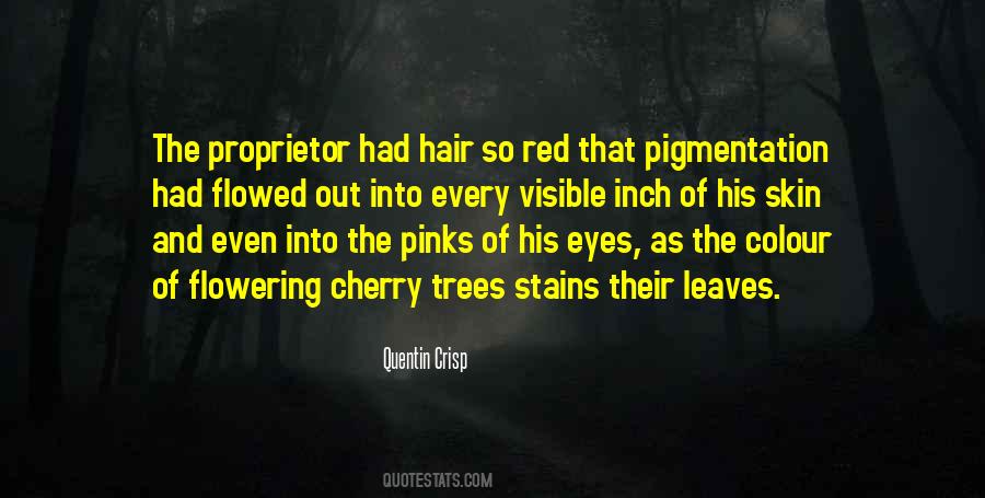 Colour Of His Skin Quotes #470769