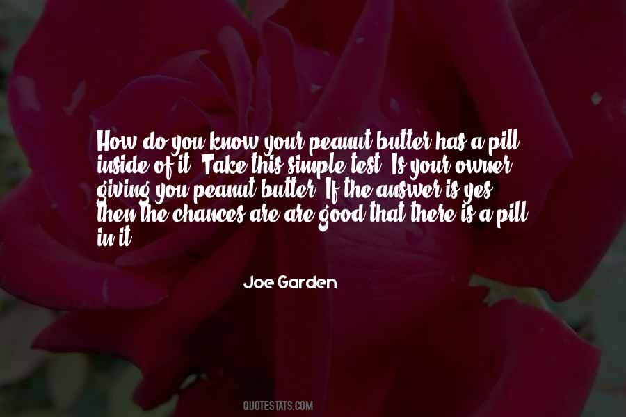 This Is A Test Quotes #943590