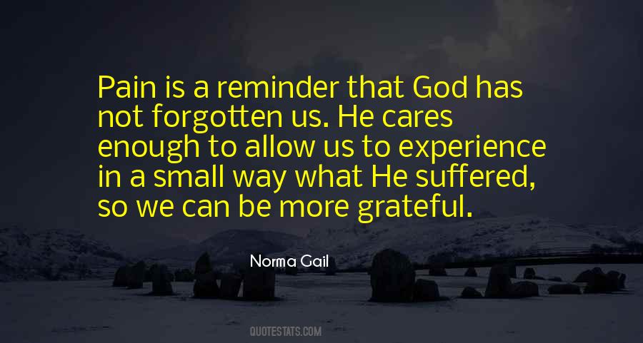 Be Grateful For The Small Things Quotes #1221523