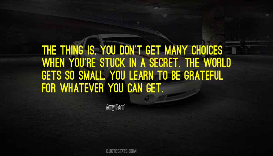 Be Grateful For The Small Things Quotes #924143