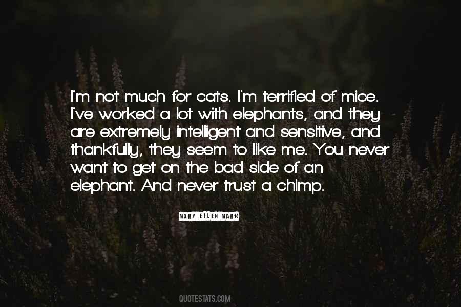I Want You To Trust Me Quotes #1240200