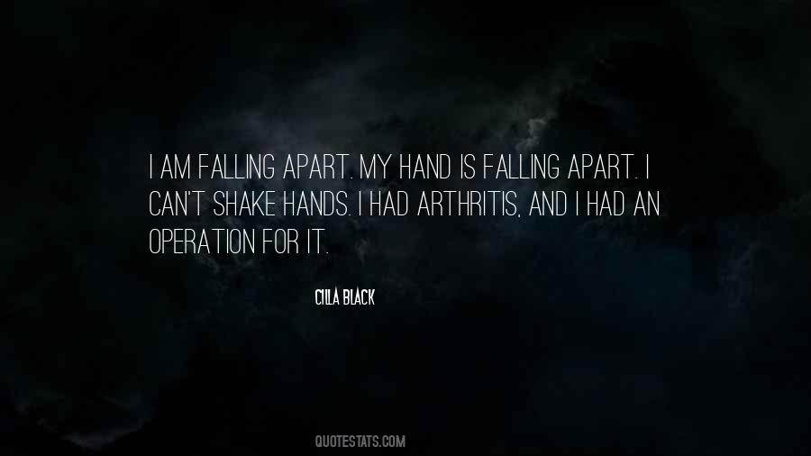 I Am Falling Apart Quotes #1320489