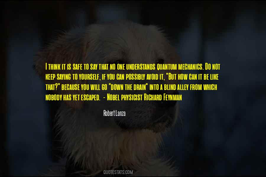 No One Is Safe Quotes #1448089