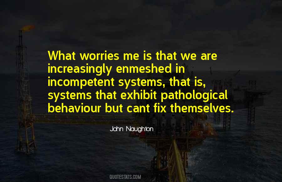 I Have No Worries Quotes #56988