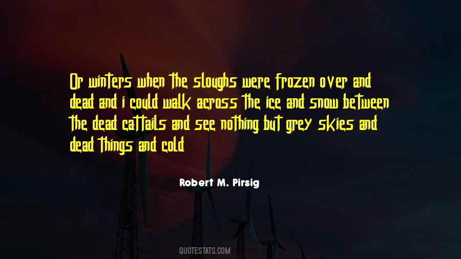 When Skies Are Grey Quotes #226241