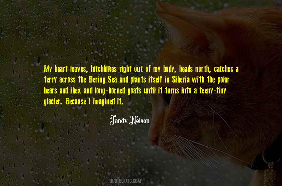 Tiny Heart Quotes #1693556