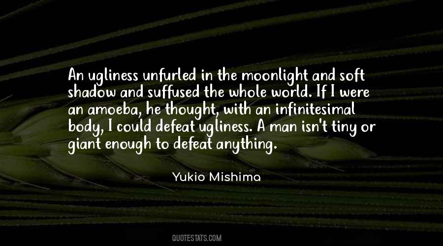 Ugliness In The World Quotes #1684468