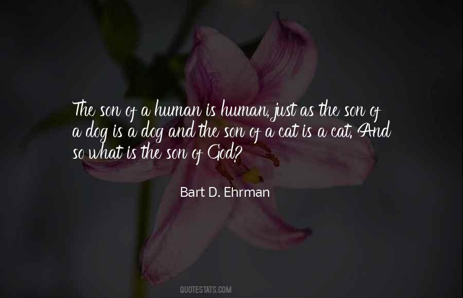 Quotes About The Son #1282872