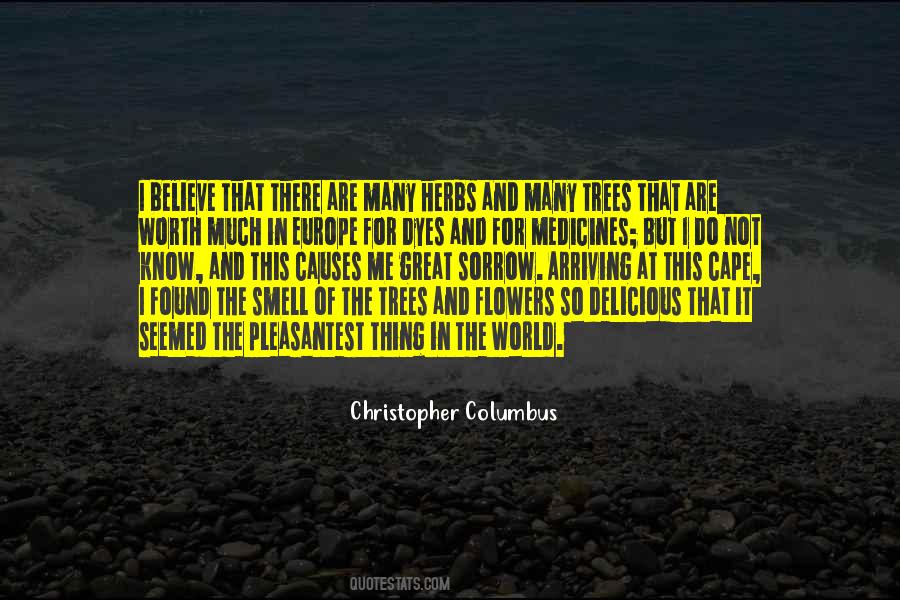 Quotes About Flowers In The World #602452