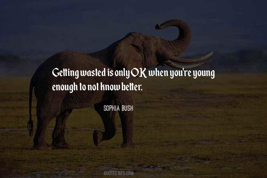 Getting To Know You Better Quotes #1311936