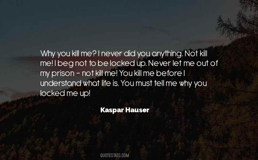 You Never Understand Quotes #811866