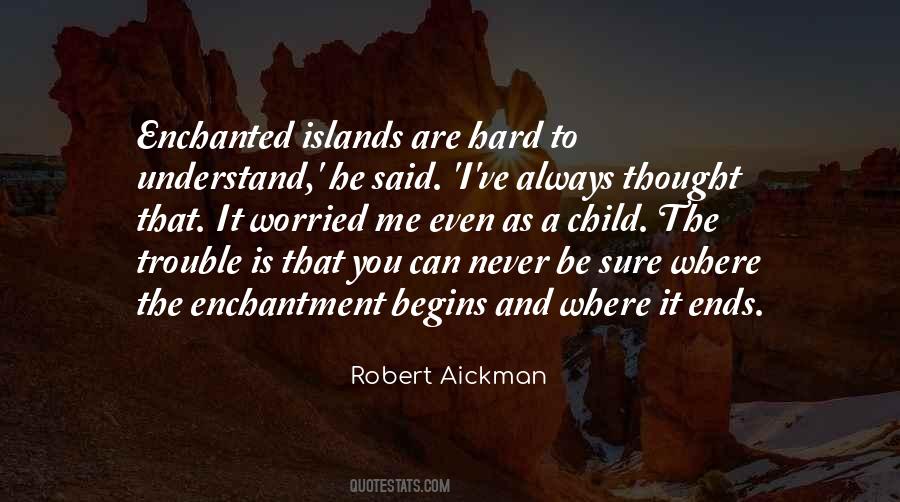 You Never Understand Quotes #884832