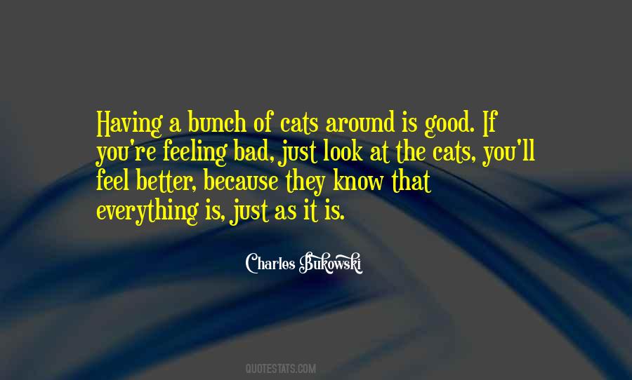 Feeling Is Everything Quotes #764731
