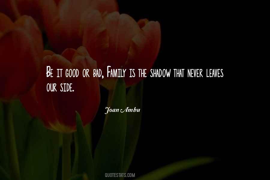 Quotes About Our Shadow #157859
