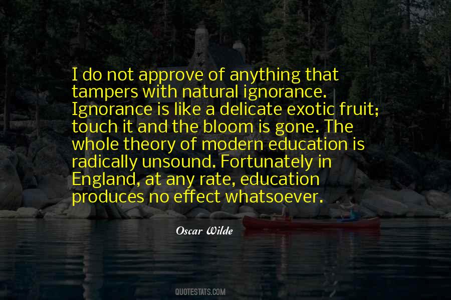 Education Ignorance Quotes #451457