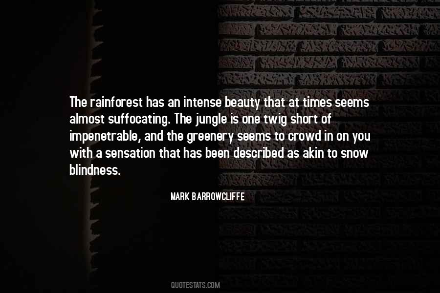 Beauty Snow Quotes #1733630