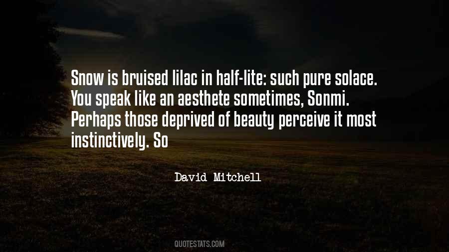 Beauty Snow Quotes #451044