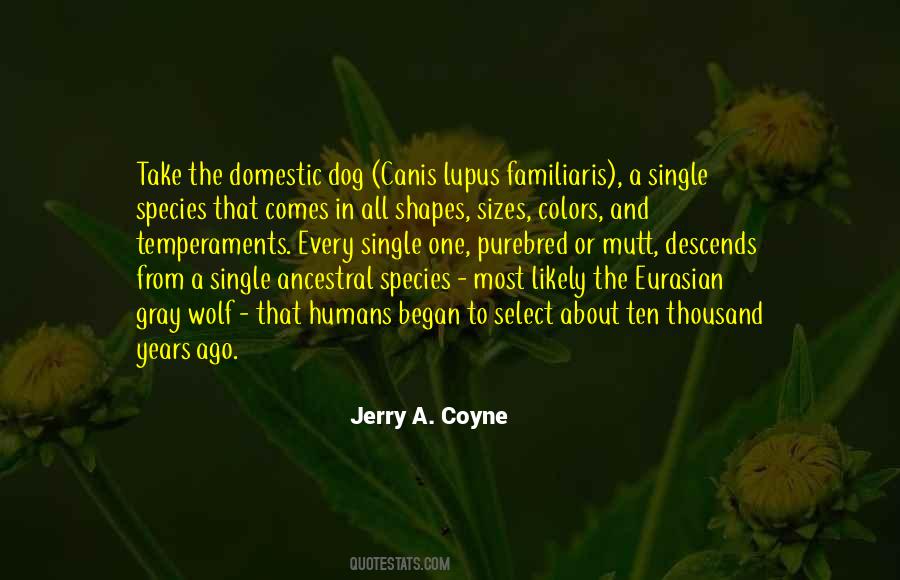 Comes In All Sizes Quotes #295119