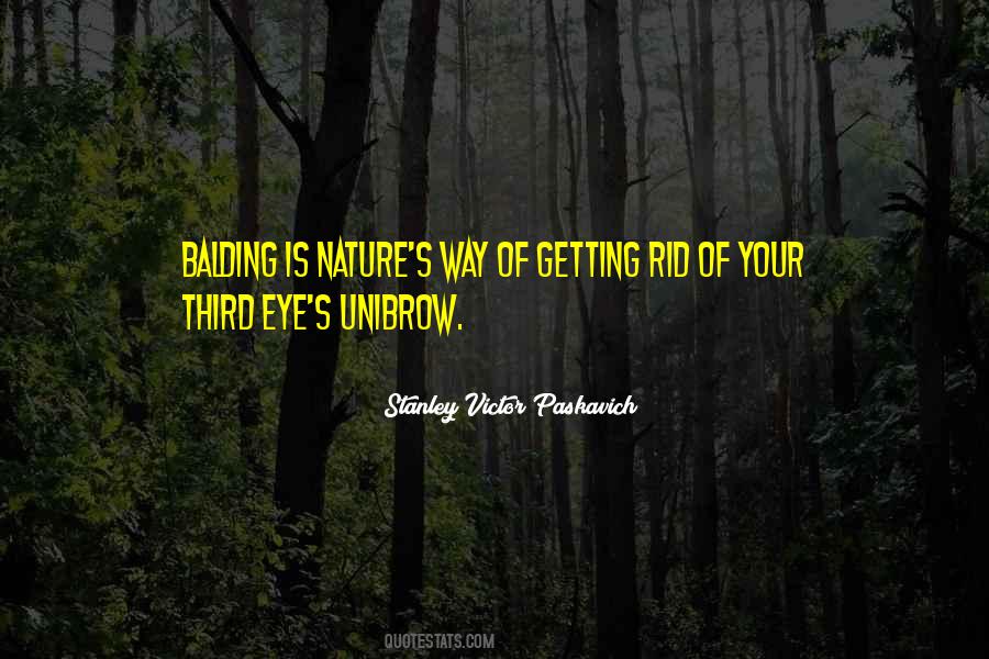 Eye Of Nature Quotes #44788
