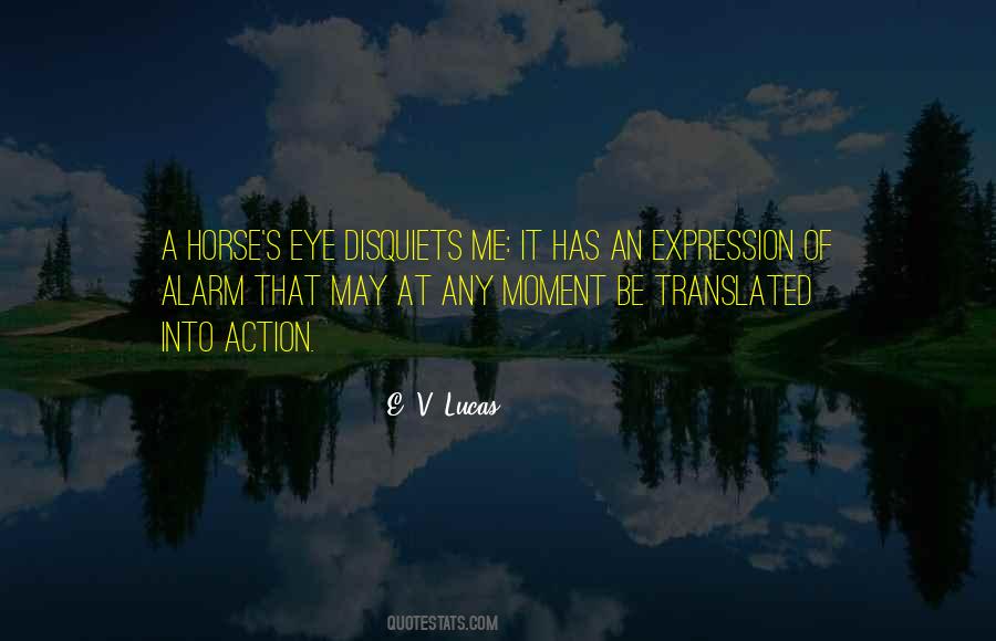 Quotes About The Eye Of A Horse #1538635