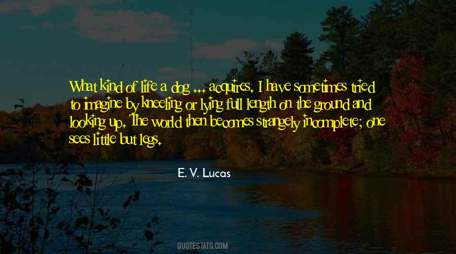 Life Dog Quotes #511592