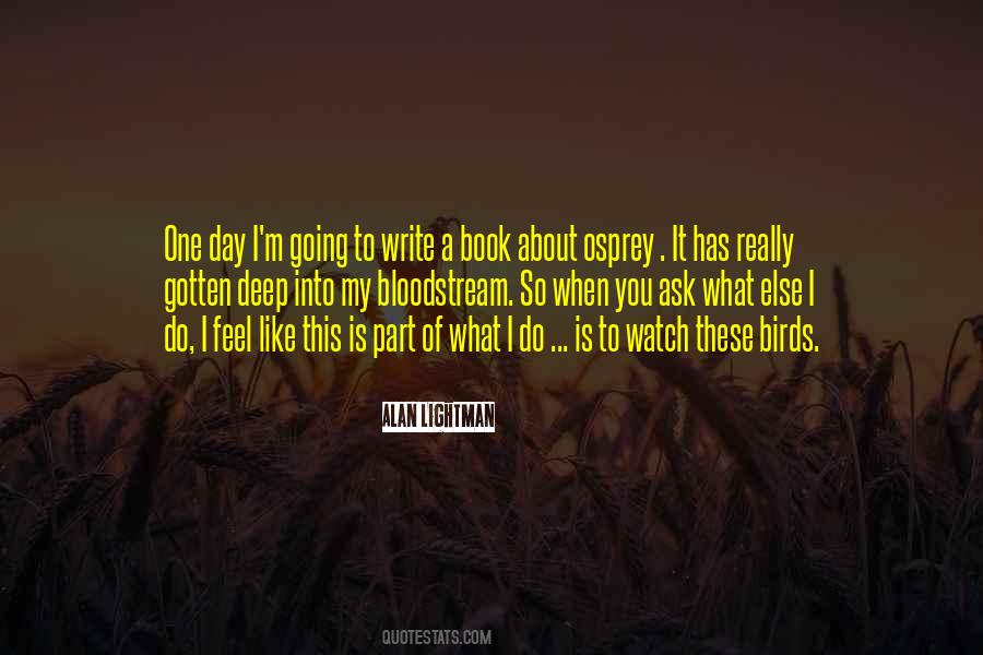 Feel Like A Bird Quotes #663168