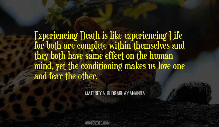 Both Are Quotes #992620