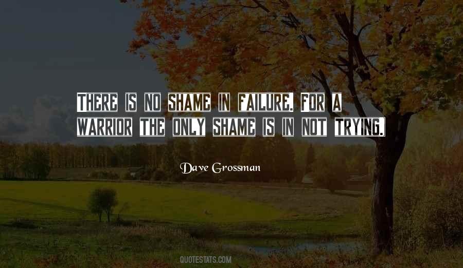 The Only Failure Is Not Trying Quotes #1352749