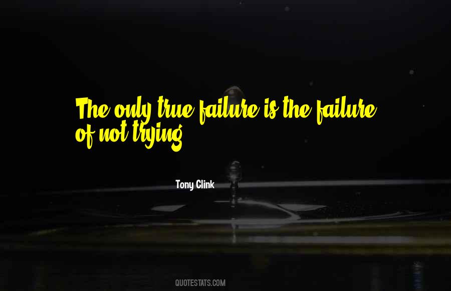 The Only Failure Is Not Trying Quotes #449638