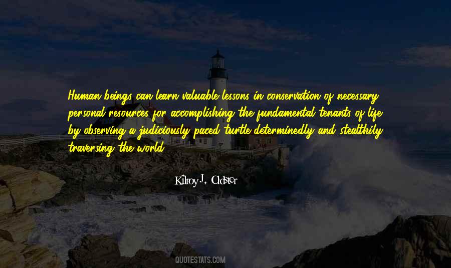 Quotes About Lessons And Learn #1635993