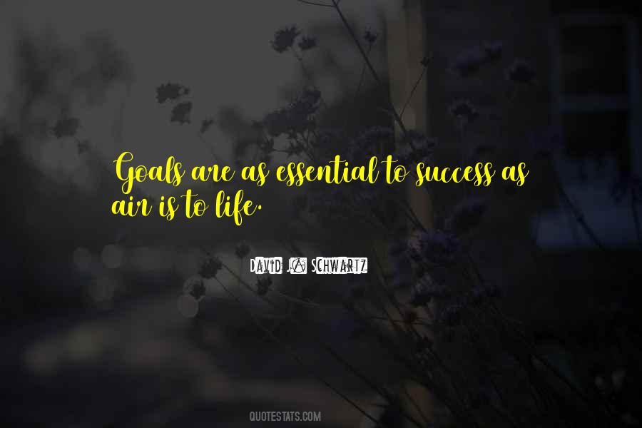Goal To Success Quotes #1115702