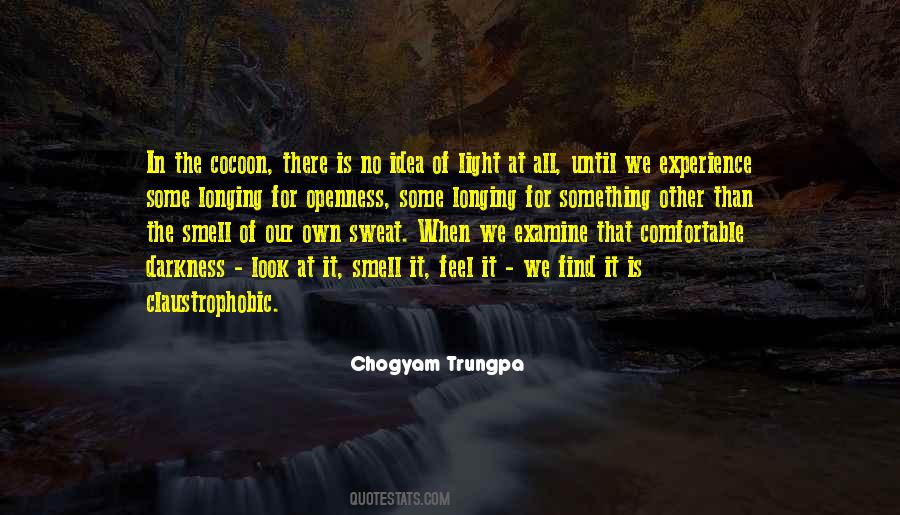 There Is Light In The Darkness Quotes #768657