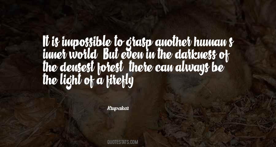 There Is Light In The Darkness Quotes #798294
