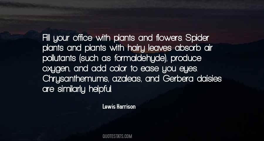 Add Color Quotes #868904