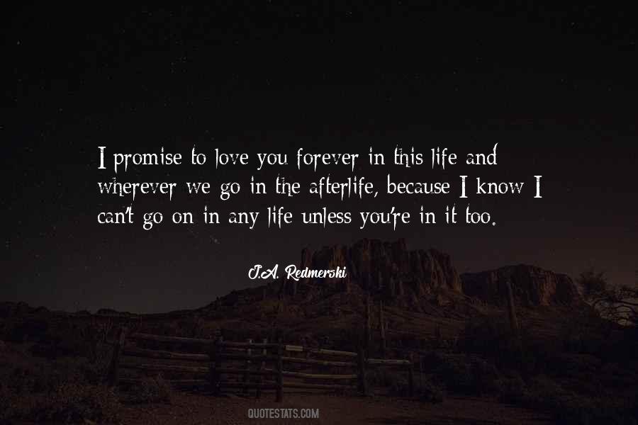 Promise Forever Quotes #143497