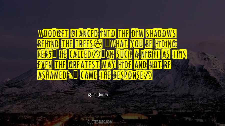 Behind The Shadows Quotes #1256473