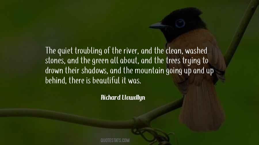 Behind The Shadows Quotes #1407754