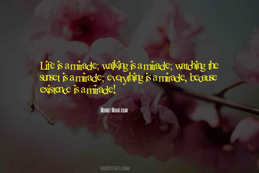 Walking Off Into The Sunset Quotes #698825