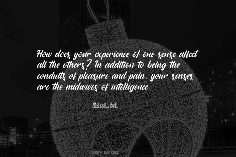 There Is No Pleasure Without Pain Quotes #152135