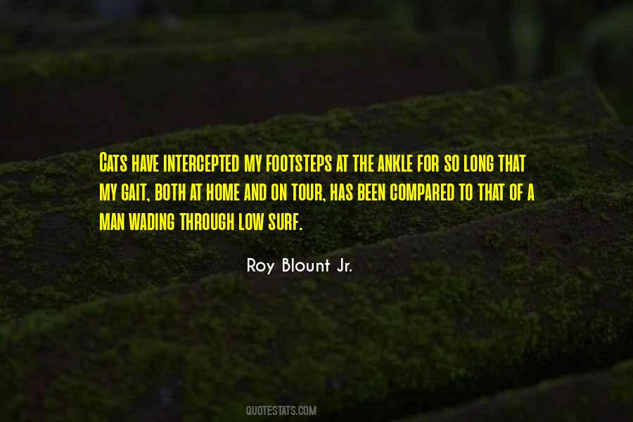 Best Surf Quotes #63483