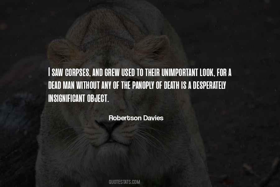 I Saw Death Quotes #1109484