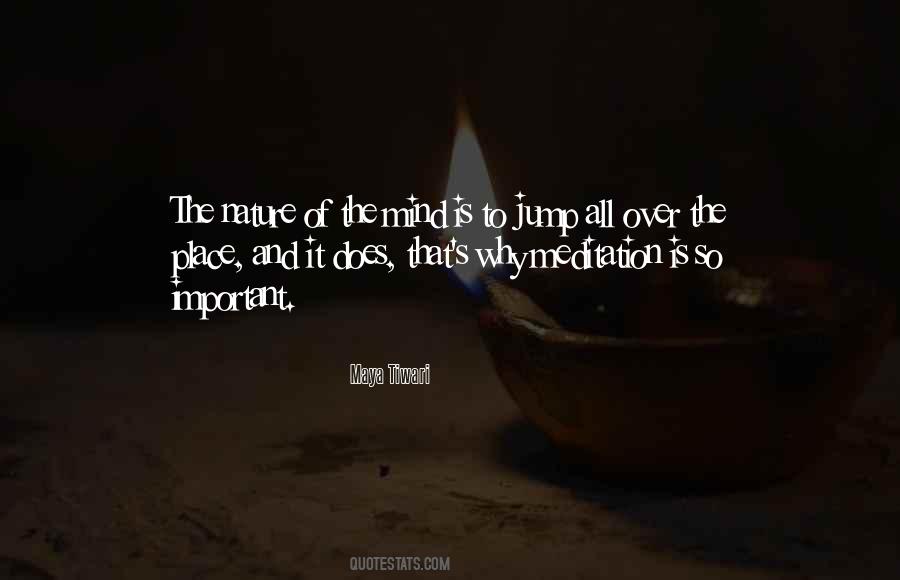 Quotes About How Important Meditation Is #1297386