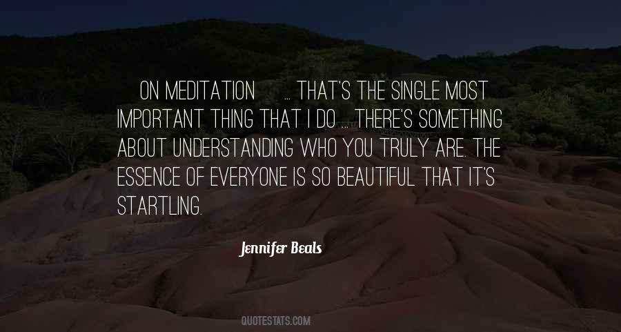 Quotes About How Important Meditation Is #856452