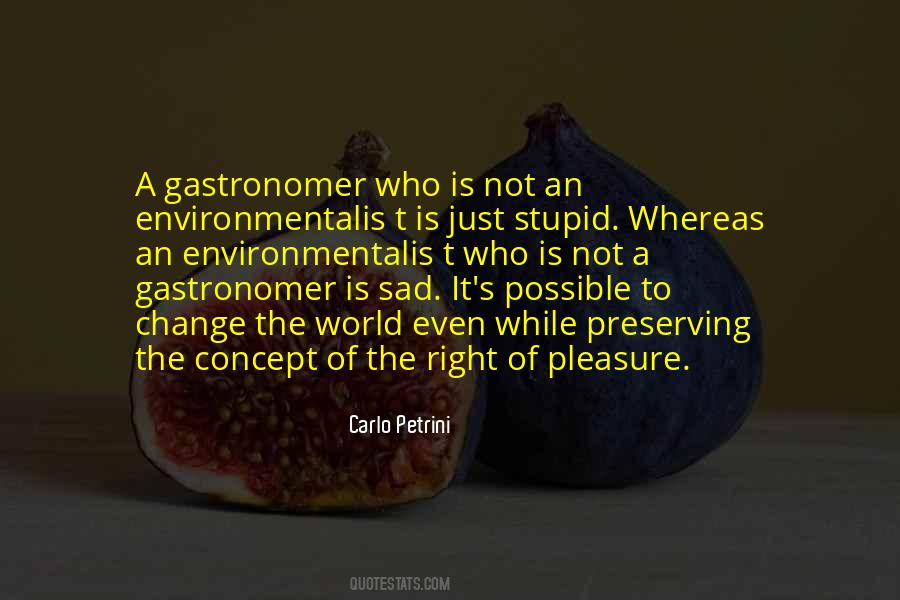 Who Is Sad Quotes #224625