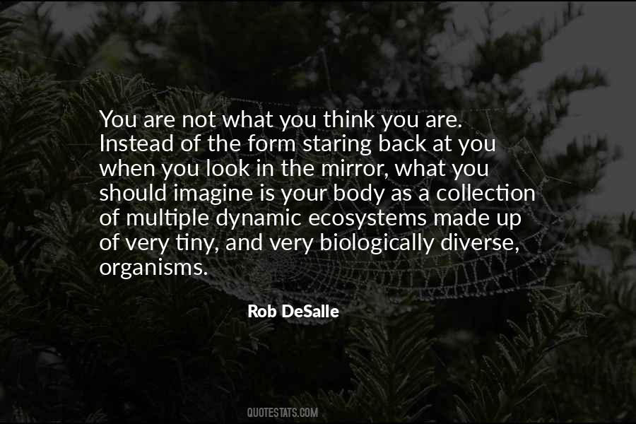 You Are Not What You Think You Are Quotes #1125252