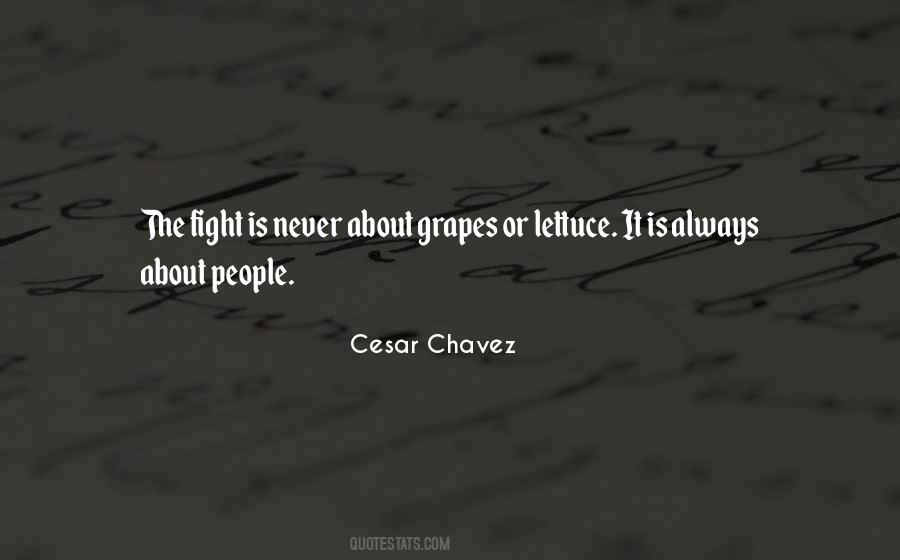Never Fight Quotes #100720