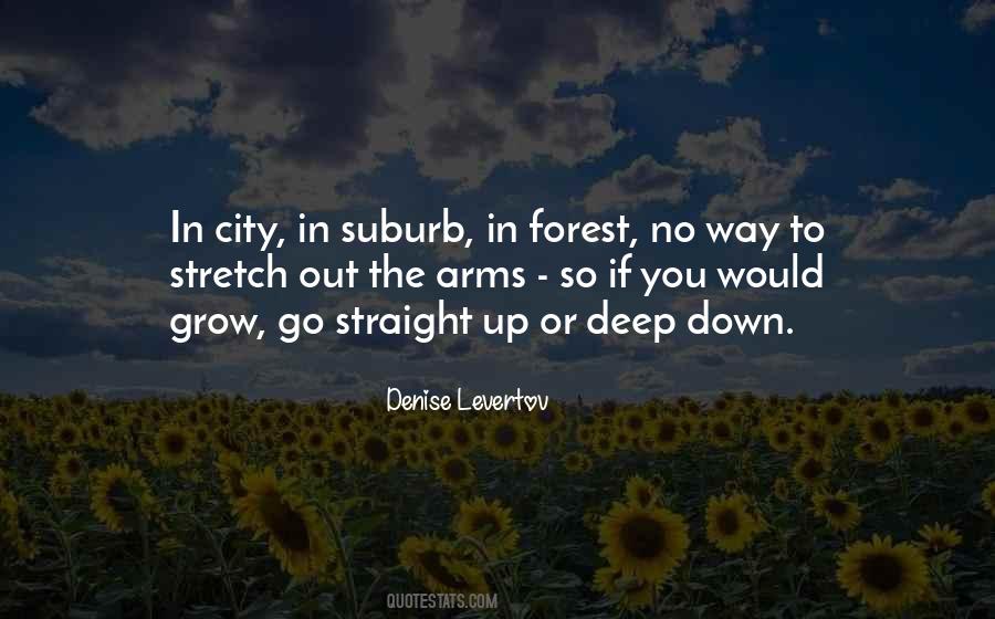 To City Quotes #33092