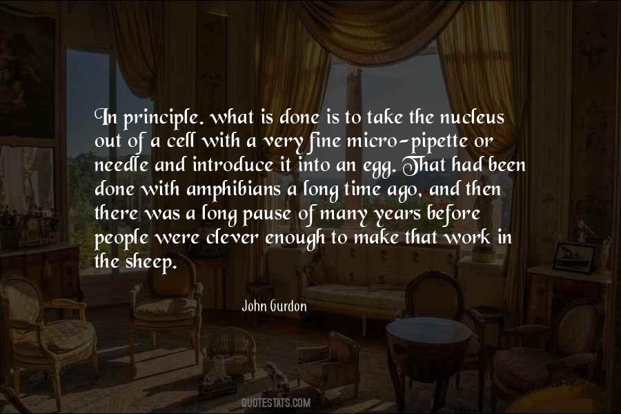The Pause In Quotes #1002314
